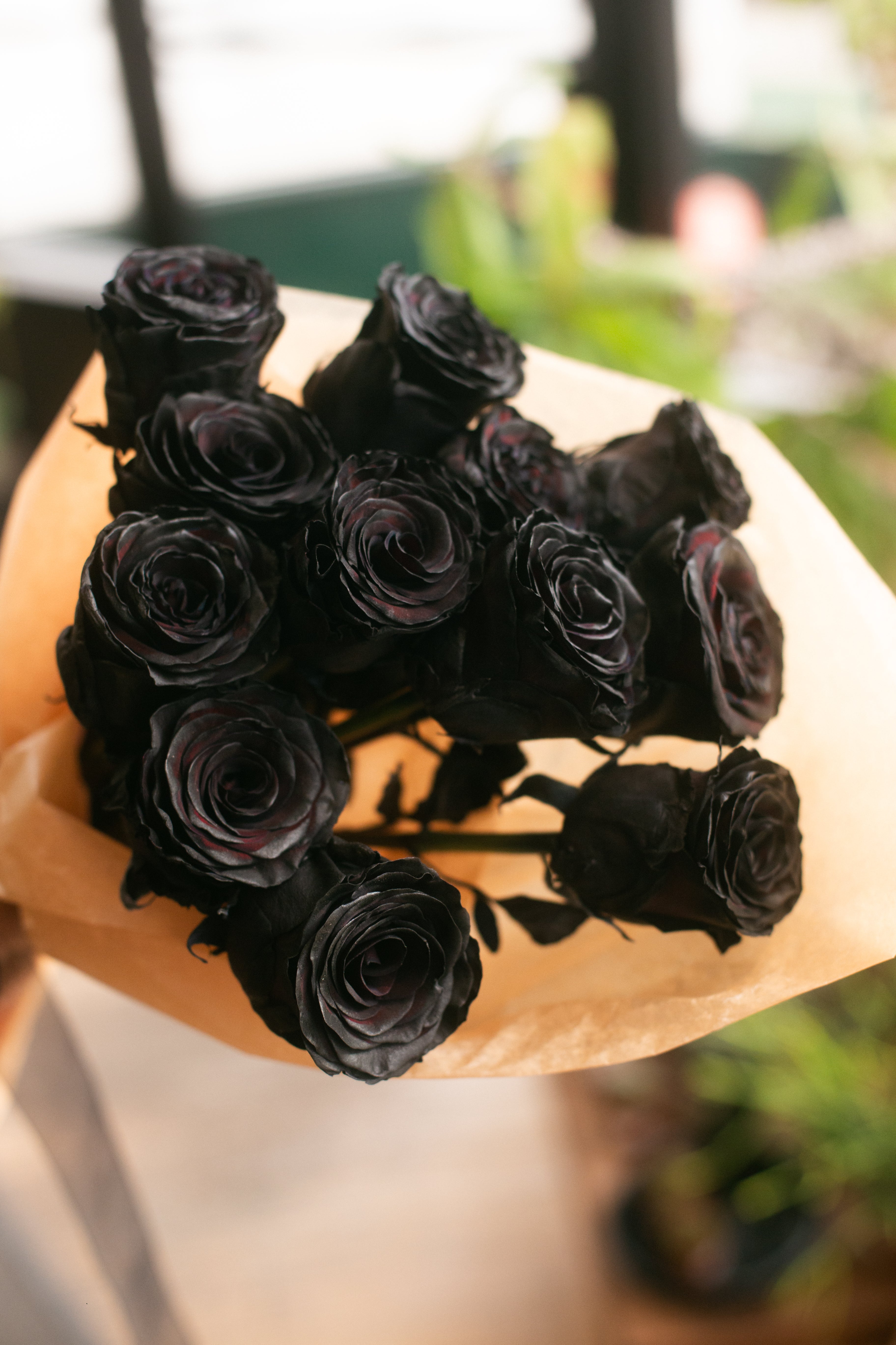 Plack Roses Black Roses | Plant Shop Chicago